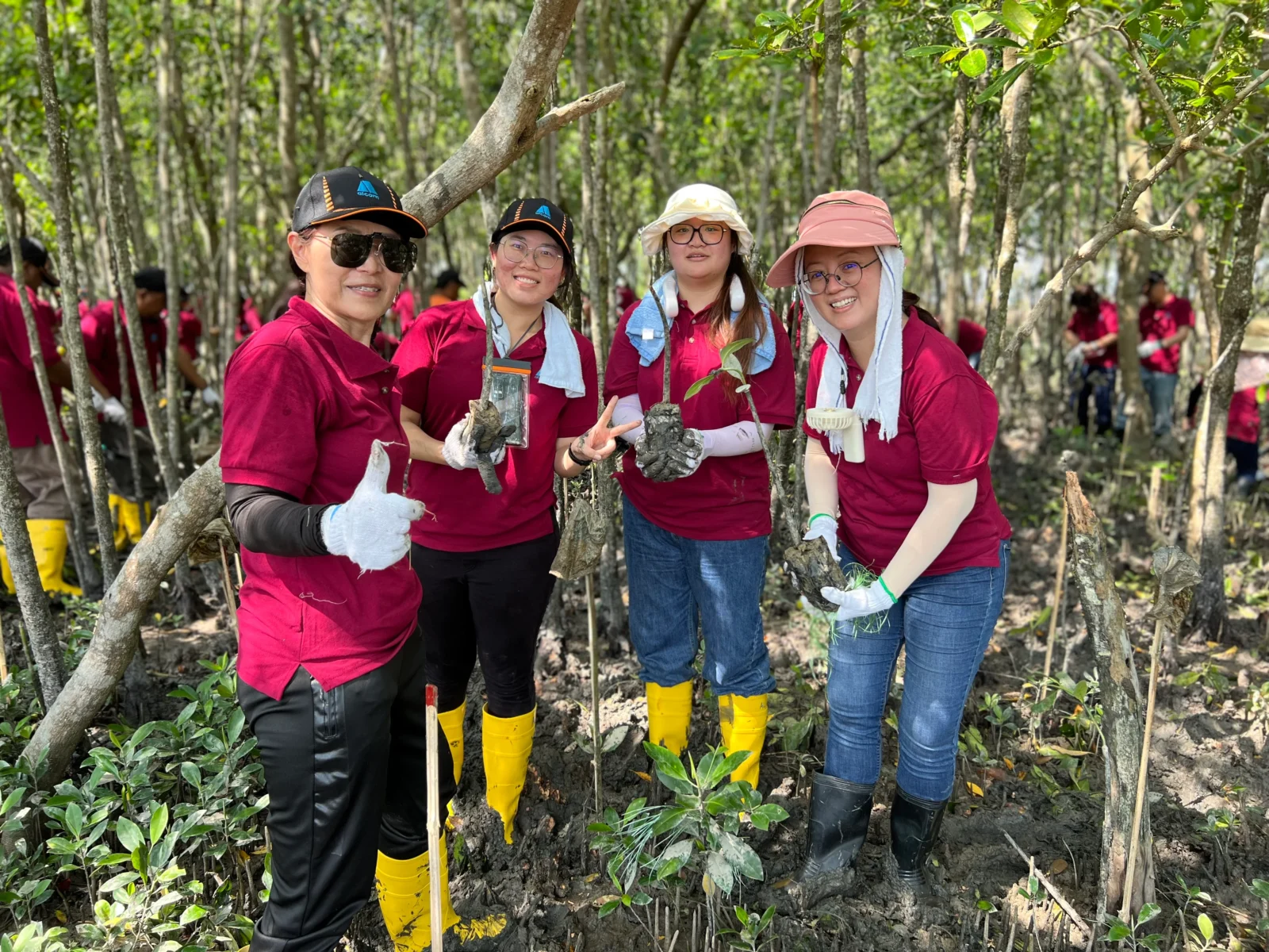 15 Mangrove Planting Campaign 2024 1